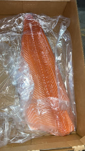 Salmon Fillet