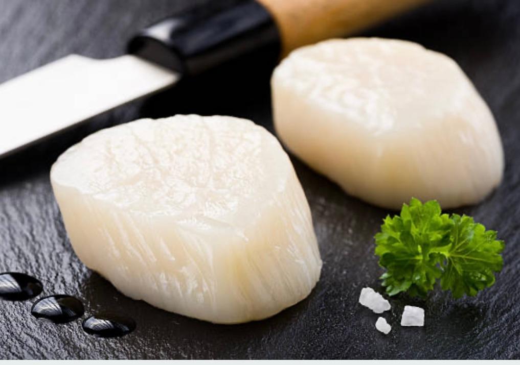 Wild Caught Sea Scallops (10-20 count, Dry Scallops)